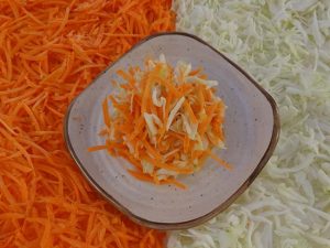 Texterin für Rezepte: Karotten und Kraut Salat