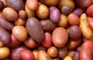 Resistente Stärke in Kartoffeln